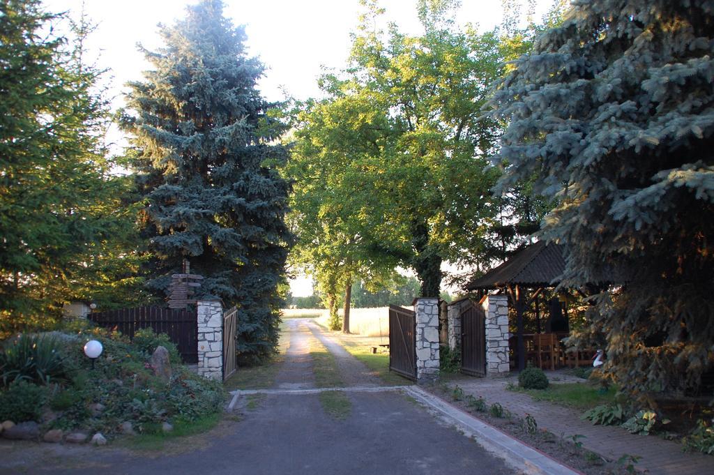 Agroturystyka Pod Swierkami Nadrybie Екстериор снимка